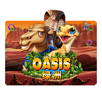 Oasis